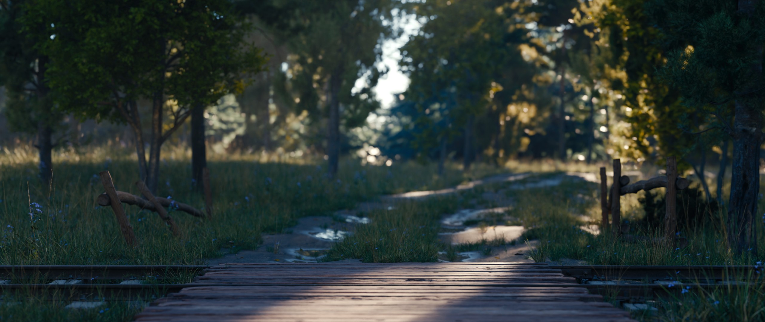 一张树林下的铁道的照片